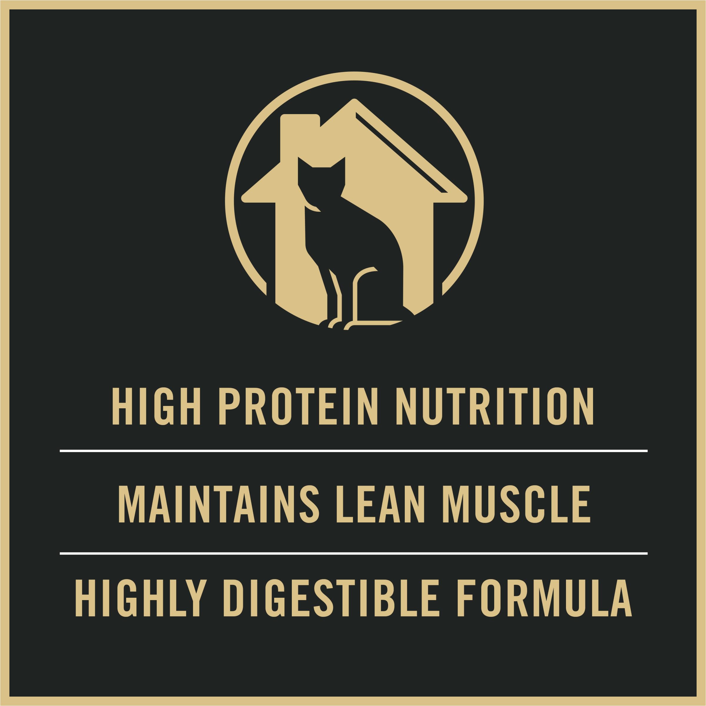 Purina Pro Plan gato comiendo en interior con energía y apetito saludable
