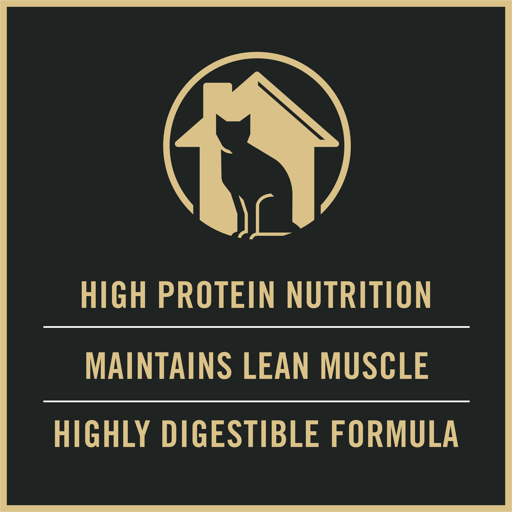 Purina Pro Plan gato comiendo en interior con energía y apetito saludable