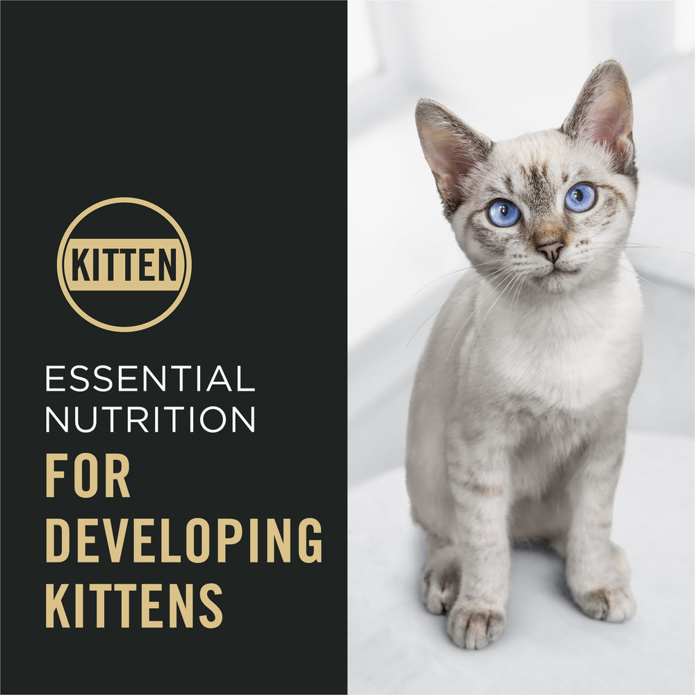 Purina Pro Plan croquetas en cuenco listas para alimentar con textura crujiente