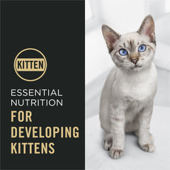 Purina Pro Plan croquetas en cuenco listas para alimentar con textura crujiente