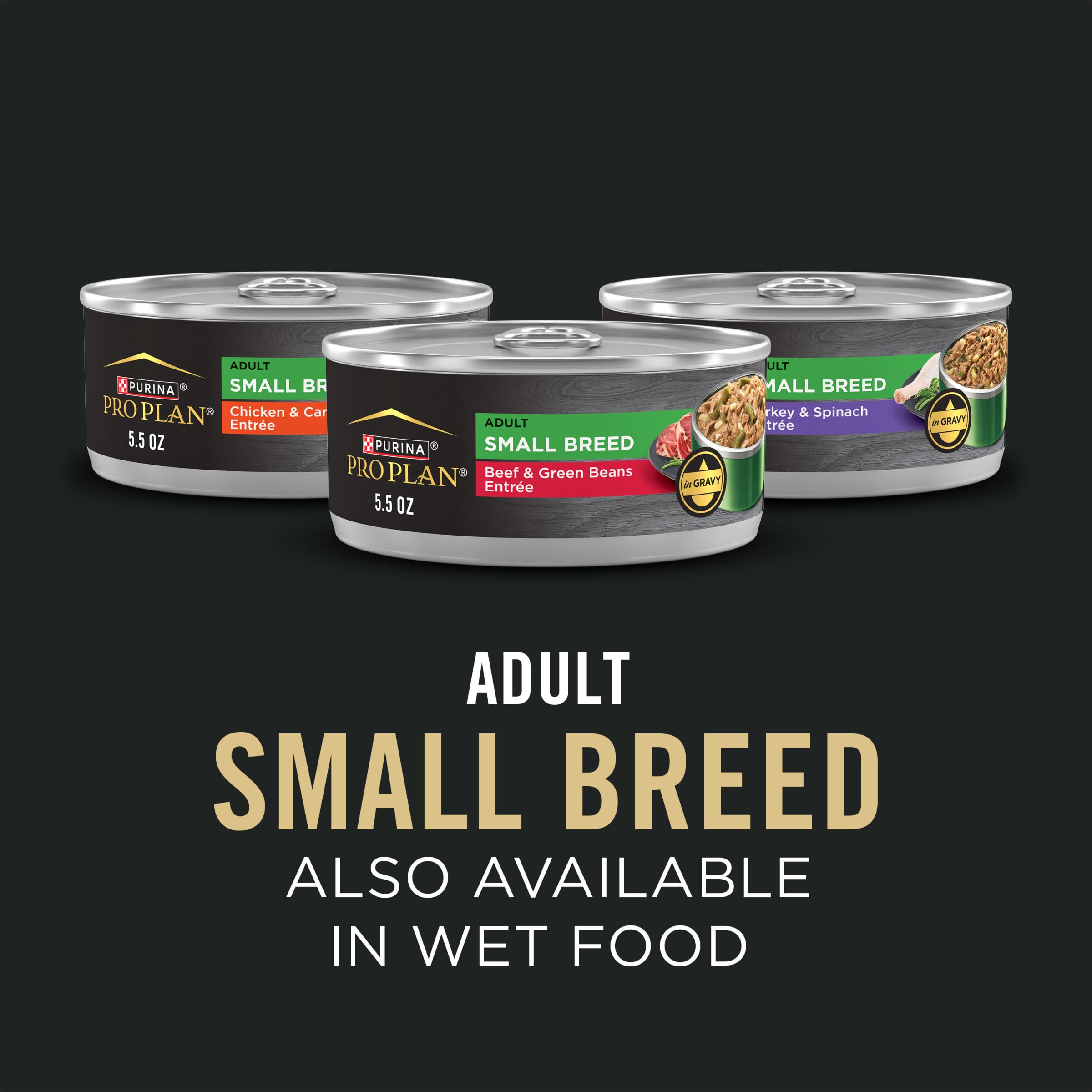 Purina Pro Plan small dog enjoying meal outdoors for lifestyle appeal