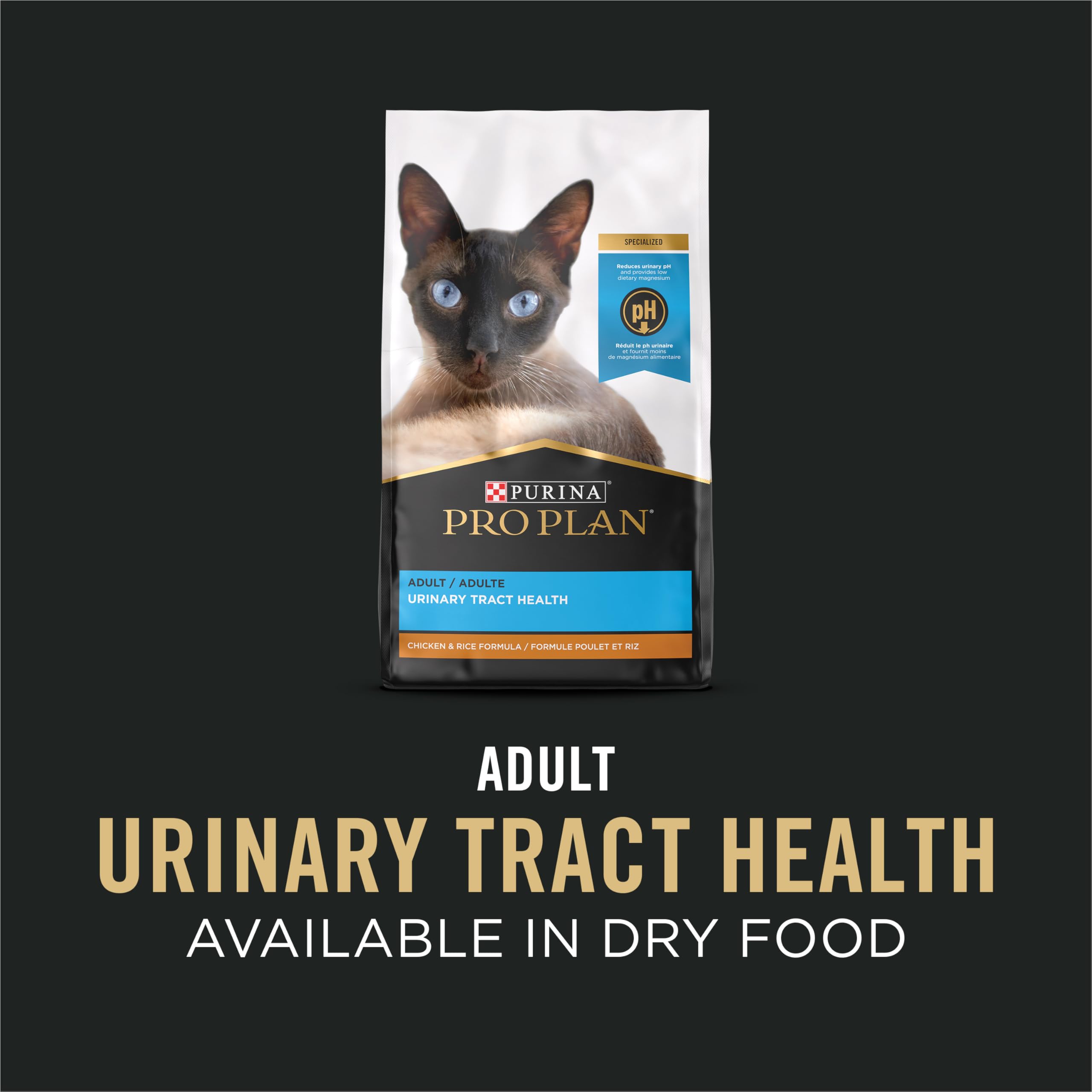 Purina Pro Plan lata en mano para comparar tamaño y porción para gato adulto