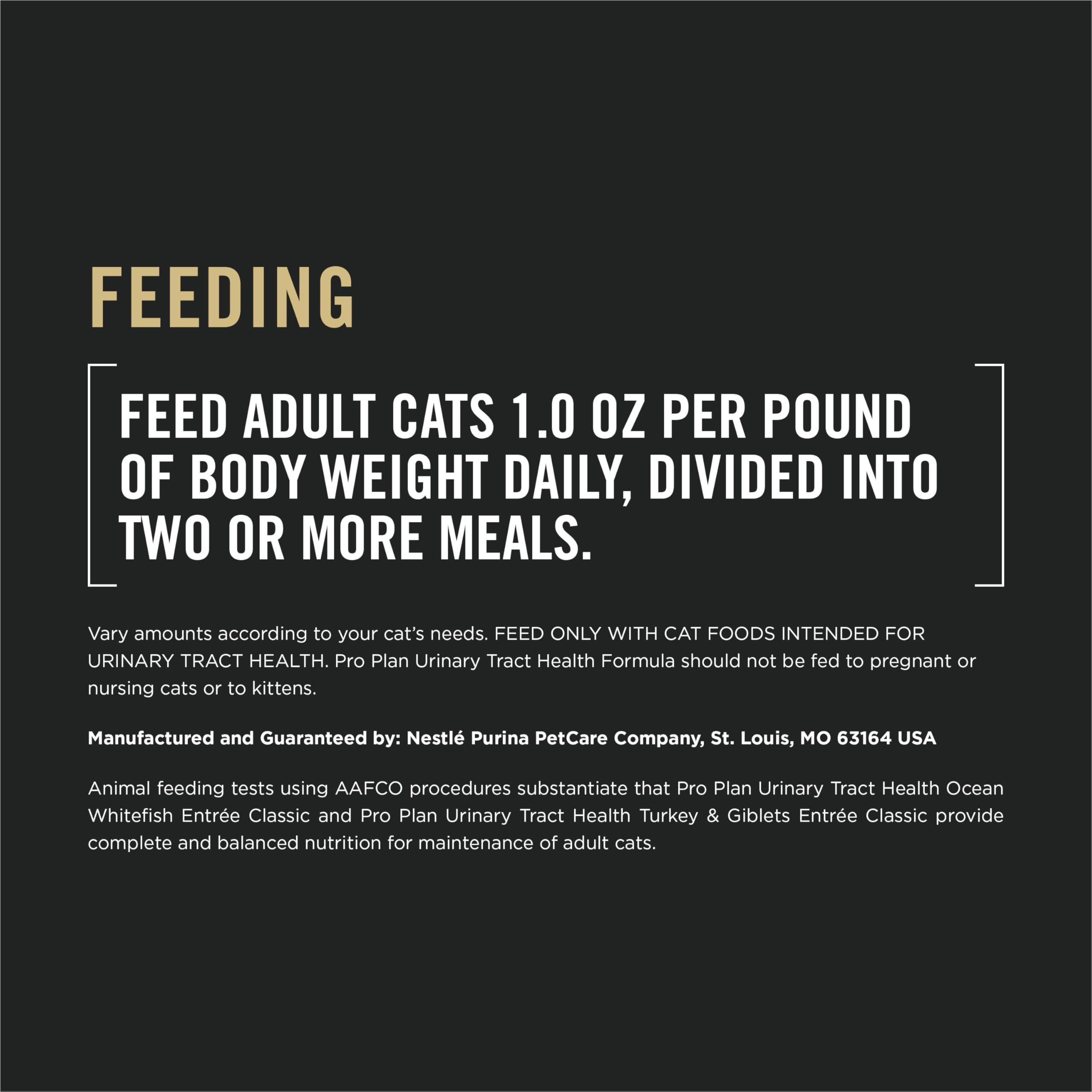 Purina Pro Plan gato comiendo pate en mesa, promueve aceptación y salud