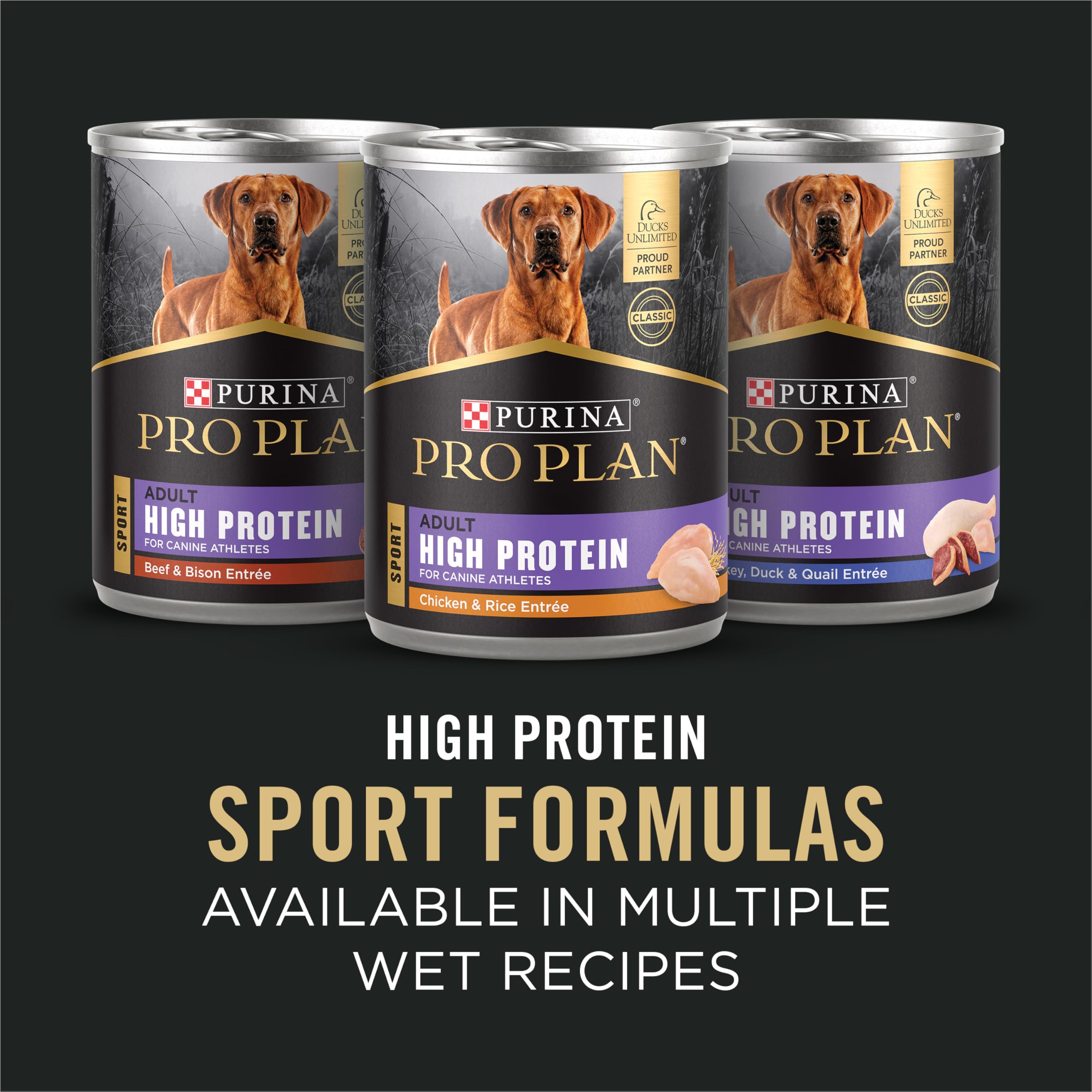 Purina Pro Plan bolsa de 6 lb para comparación de tamaño y practicidad