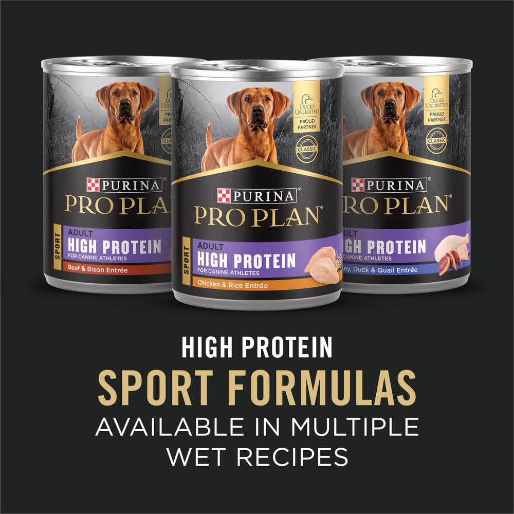 Purina Pro Plan bolsa de 6 lb para comparación de tamaño y practicidad