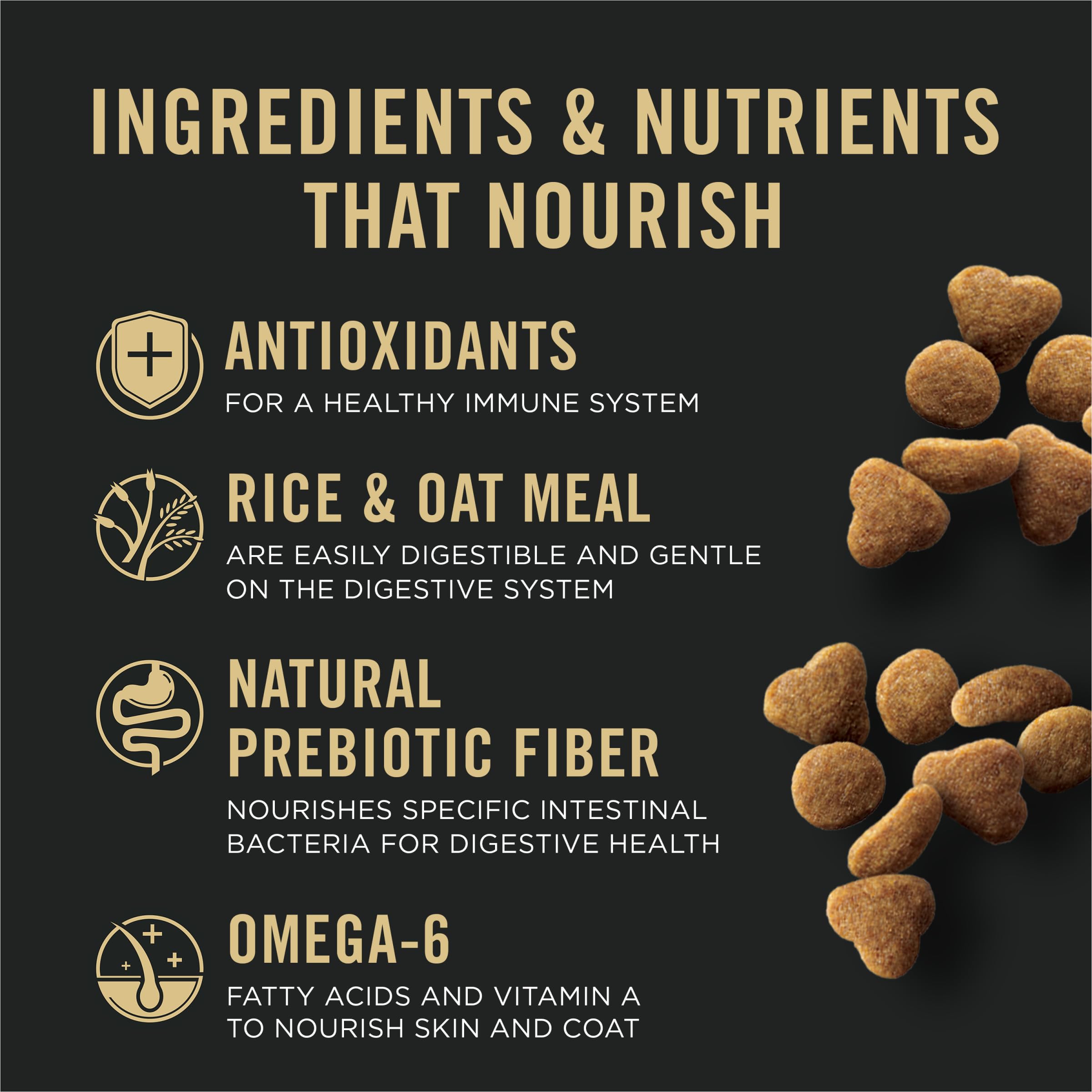 Purina Pro Plan comparación de tamaño con mano para visualizar 16 lb