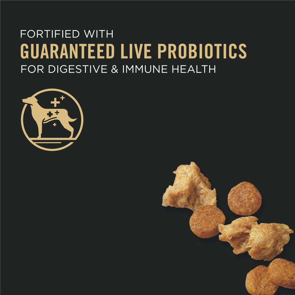 Purina Pro Plan textura de croqueta crujiente que favorece masticación