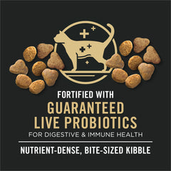 Purina Pro Plan textura de croquetas en primer plano para apetito atractivo