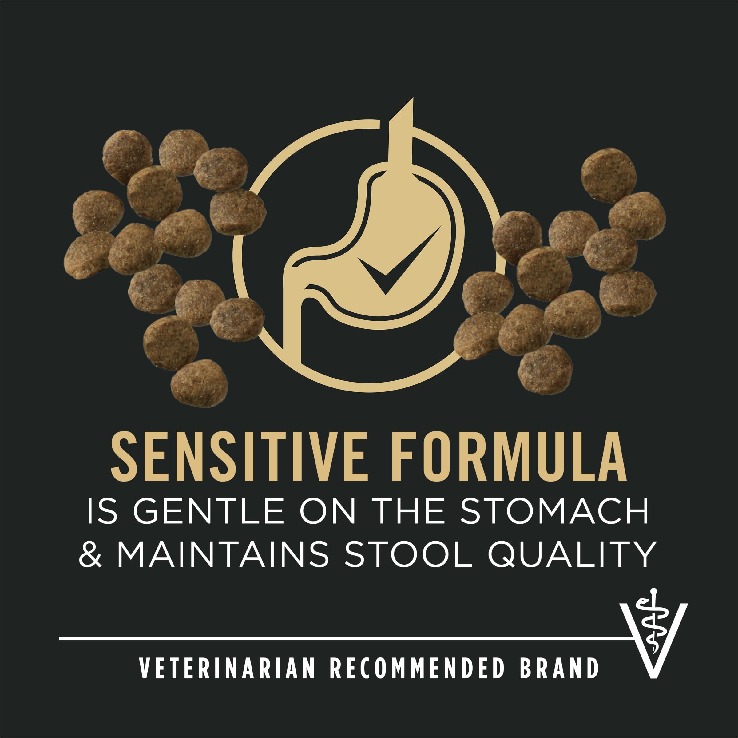 Purina Pro Plan textura del kibble en primer plano para digestión suave
