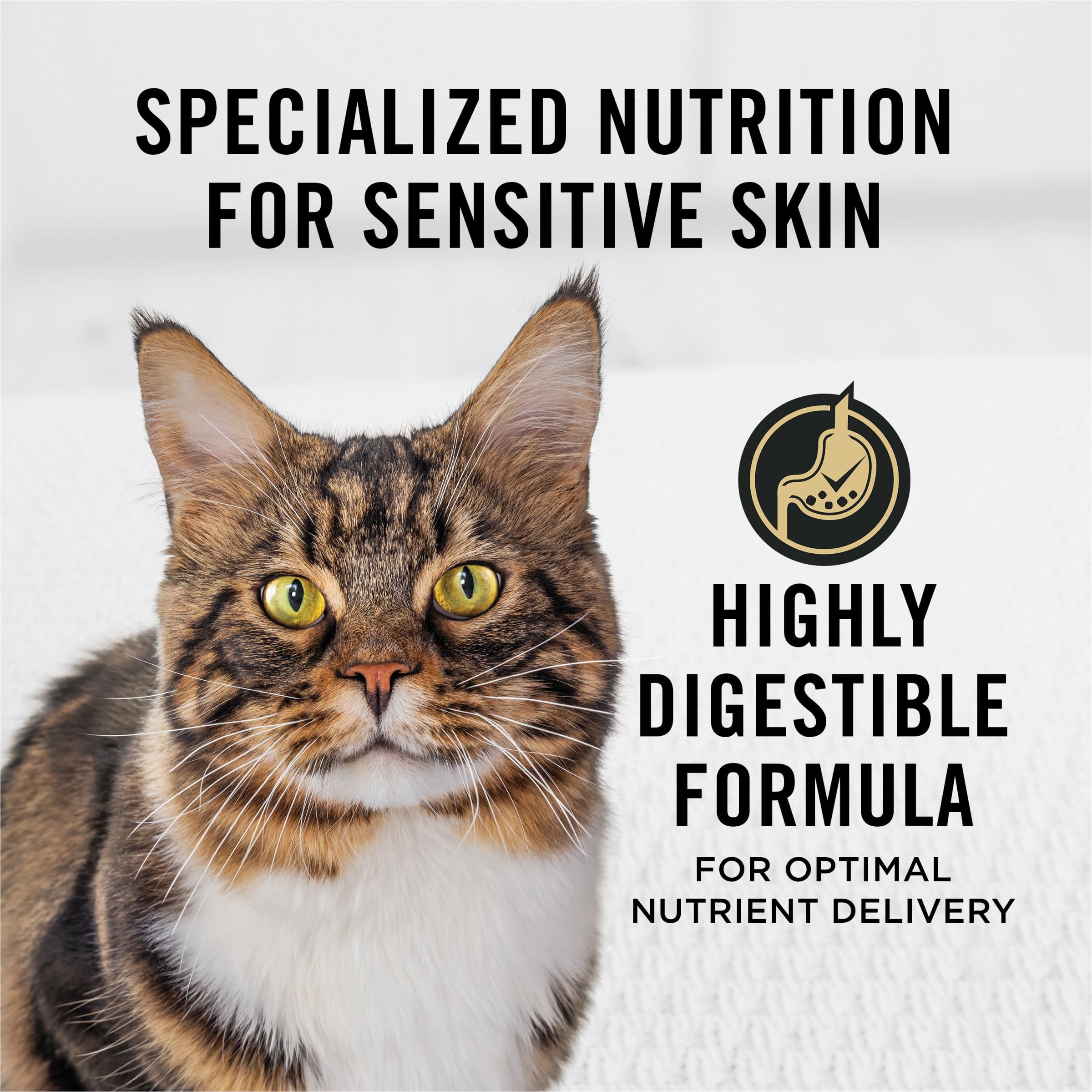 Purina Pro Plan primer plano del kibble mostrando textura digestiva suave
