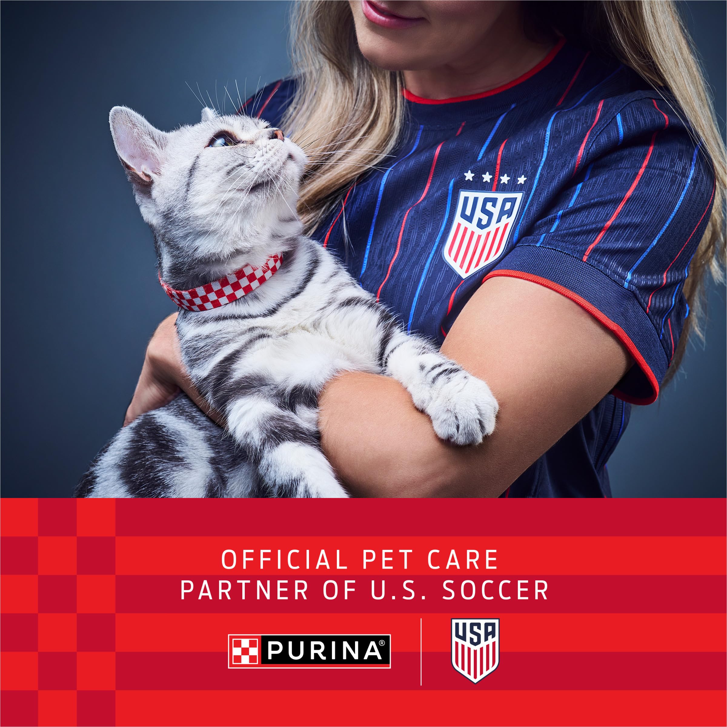 Purina Pro Plan primer plano de la salsa y textura, atractivo y fácil de masticar