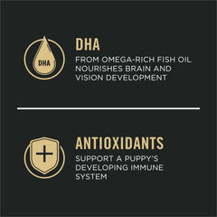 Purina Pro Plan textura y color del pienso que indica ingredientes reales y calidad