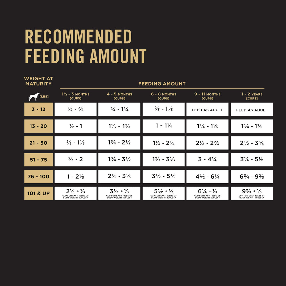 Purina Pro Plan cachorro activo tras alimentación equilibrada