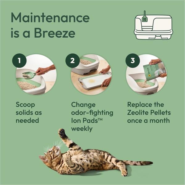 Purina Tidy Cats bandeja Breeze con pellets mostrando sistema de separación