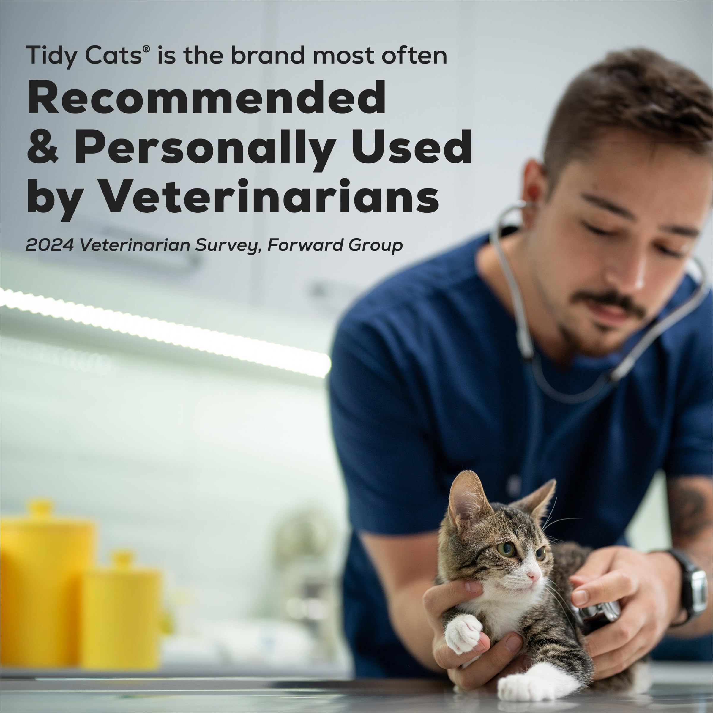 Purina Tidy Cats en ambiente doméstico con hogar fresco y ordenado