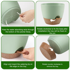 QRRICA close-up of removable wick showing simple self-watering benefit