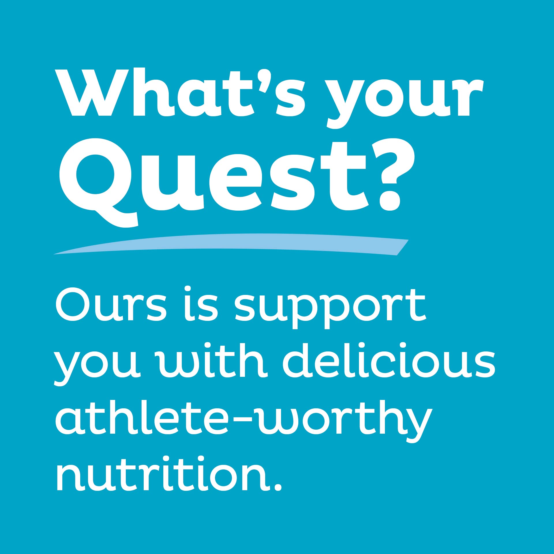 Quest chips Sour Cream & Onion detalle de condimento con beneficio sabroso
