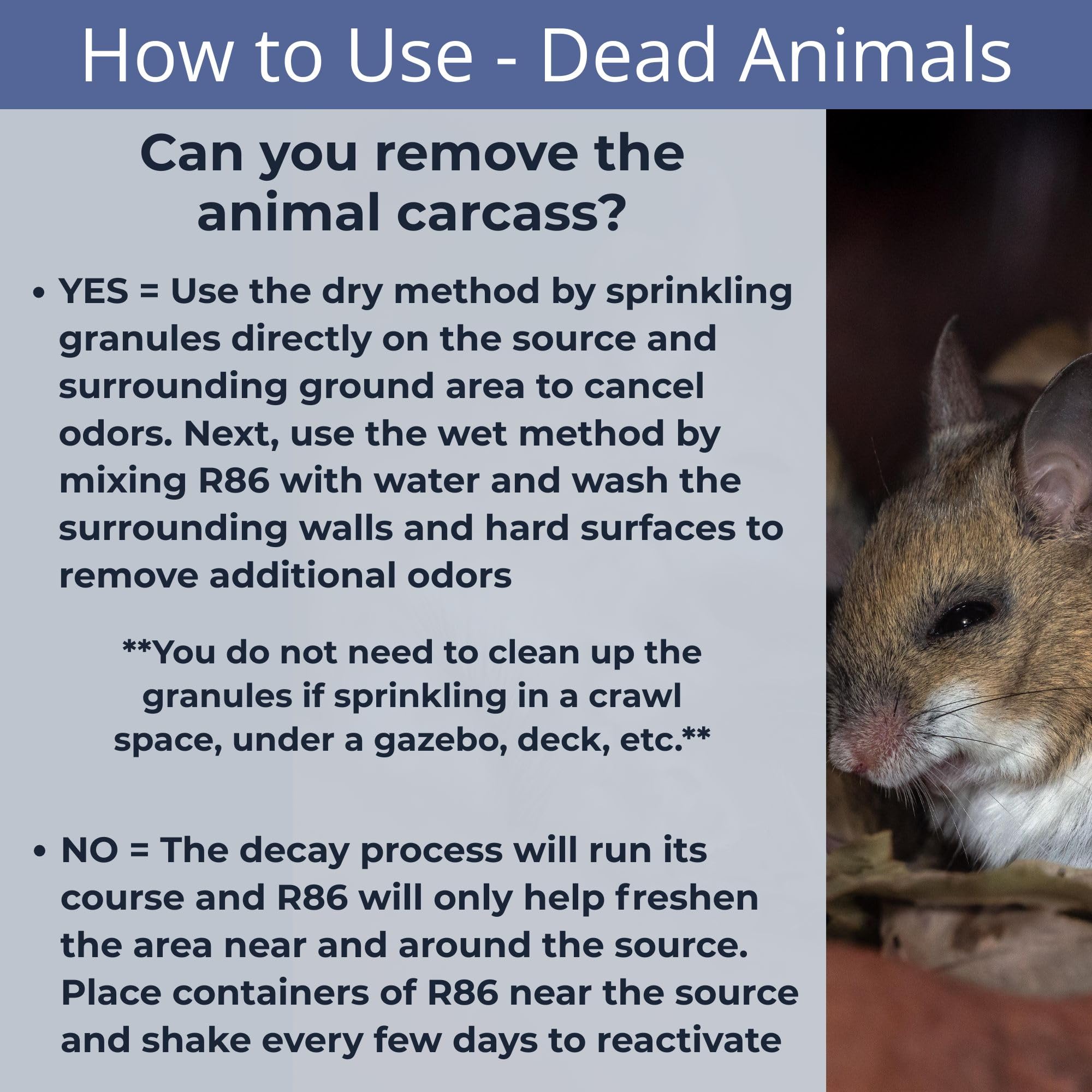 R86 en sótano limpio tras tratamiento contra humedad y olor