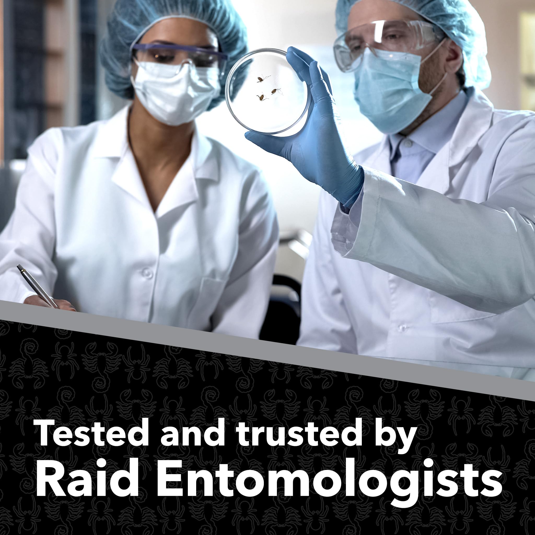 Raid Max junto a cucaracha caída ilustrando eficacia al contacto contra roedores