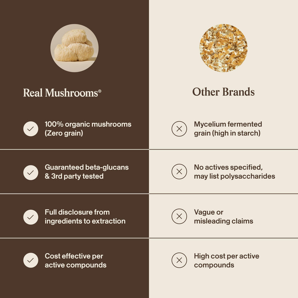 Real Mushrooms cápsula junto a regla para comparar tamaño y dosificación
