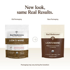 Real Mushrooms primer plano del polvo fino mostrando su pureza