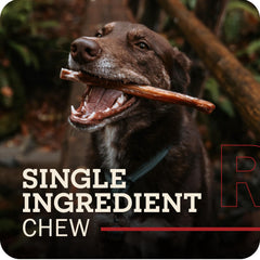 Redbarn palitos distribuidos mostrando longitudes entre 5 y 8 pulgadas para elección
