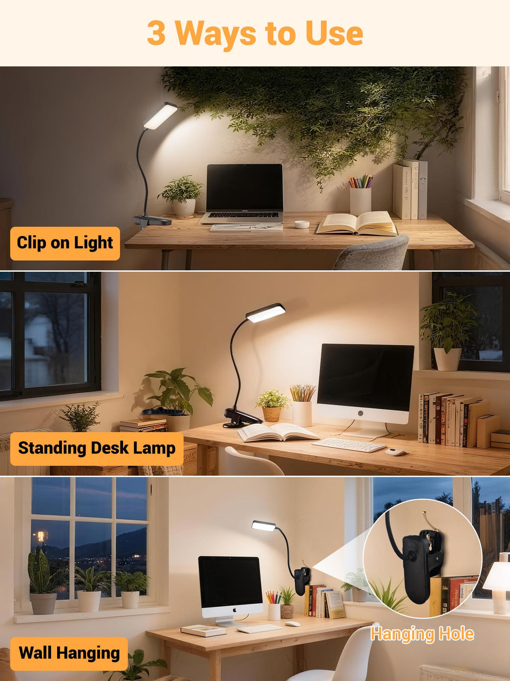 ReinHoo comparativa de tamaño mostrando ligereza y portabilidad práctica