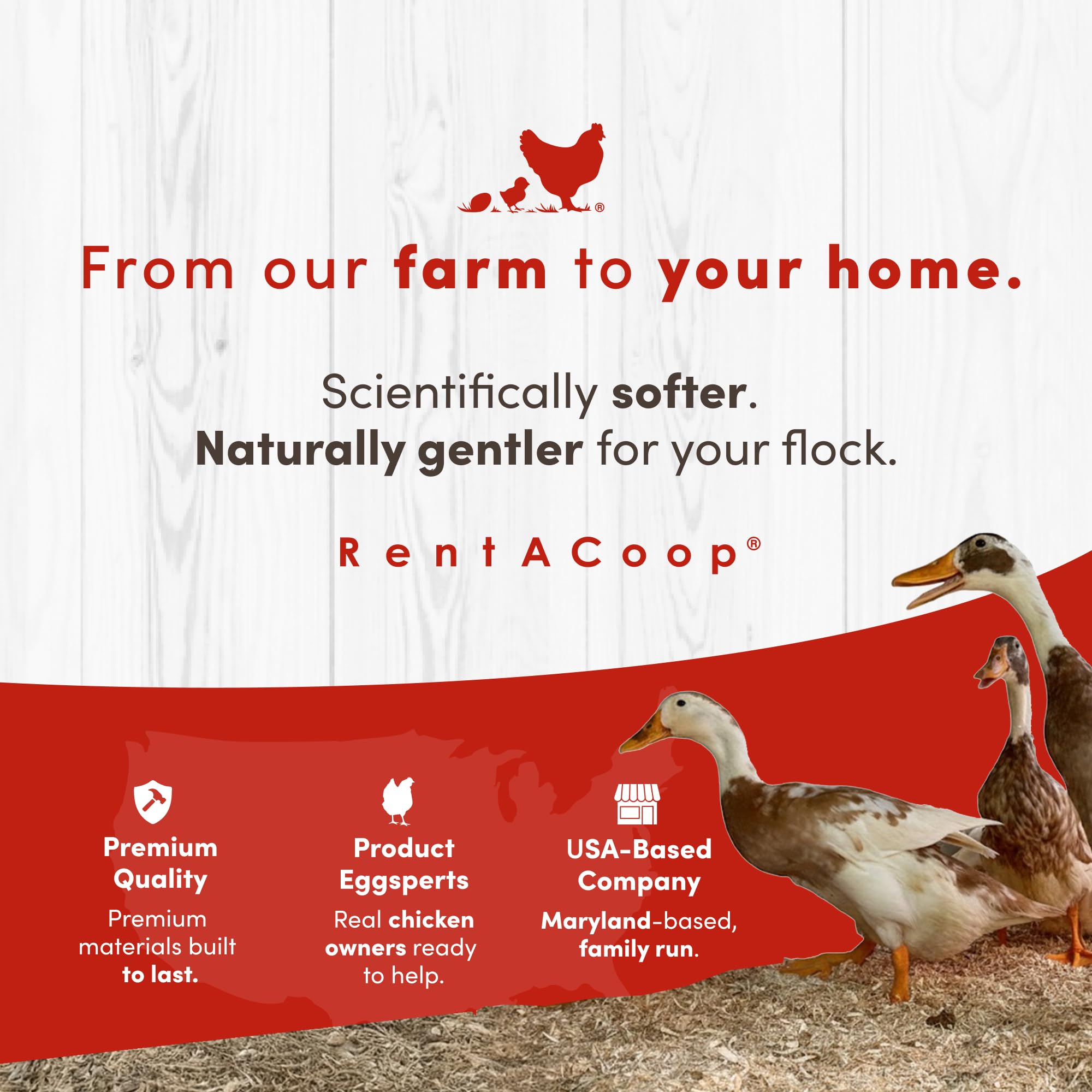RentACoop cama usada en compostaje aportando valor ecolf3gico