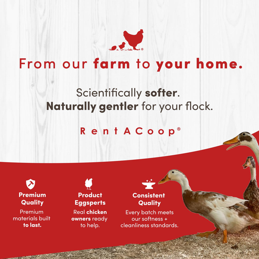 RentACoop lecho en hogar para cobayas y hamsters ambiente limpio