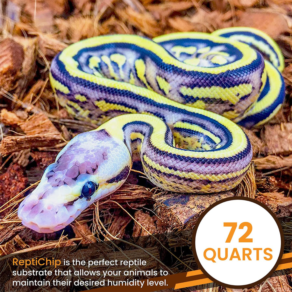 Terrario con una boa sobre sustrato ReptiChip, promoviendo ambiente natural