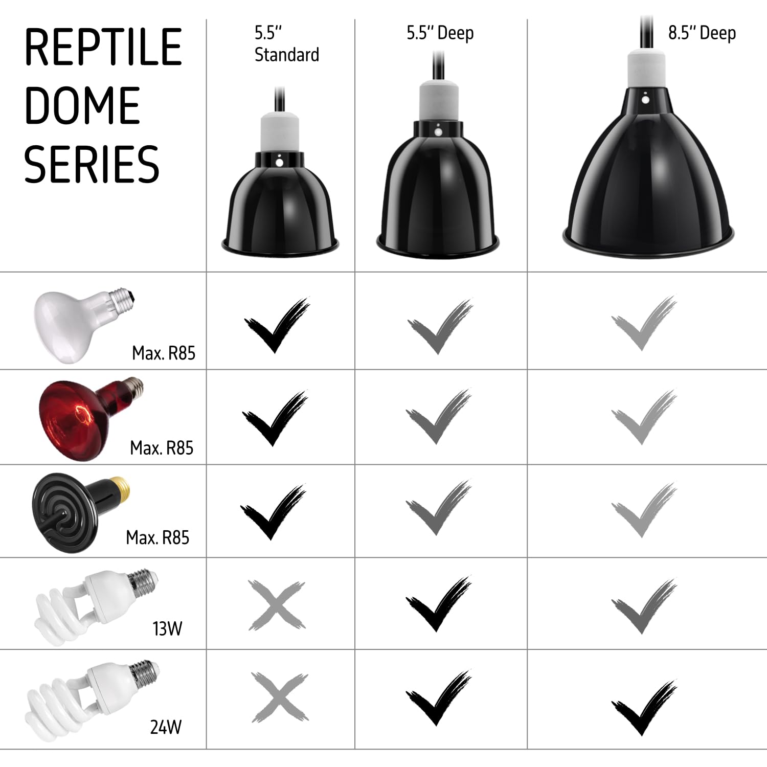 ReptiKing junto a regla para comparar tamaño y evaluar espacio disponible
