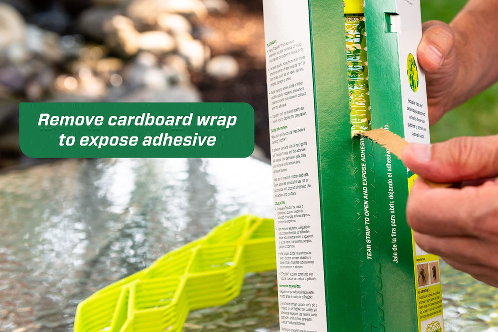 RESCUE! TrapStik beside ruler showing compact size and easy placement