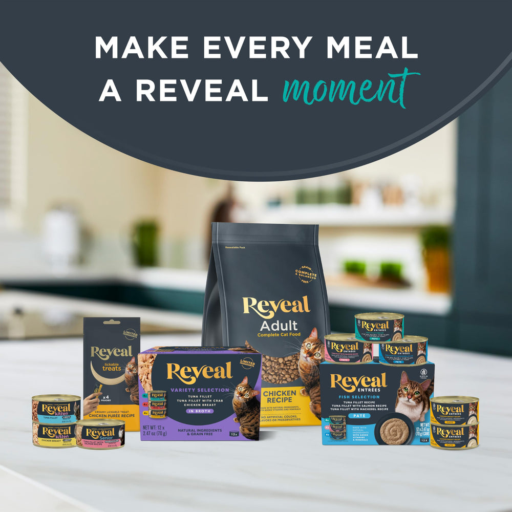 Reveal producto en ambiente doméstico mostrando aceptación del gato y placer