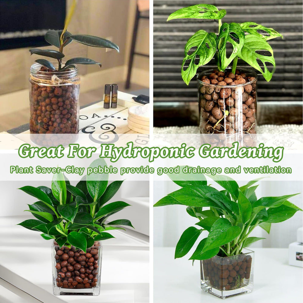 Riare propagation jar using LECA supporting faster root formation