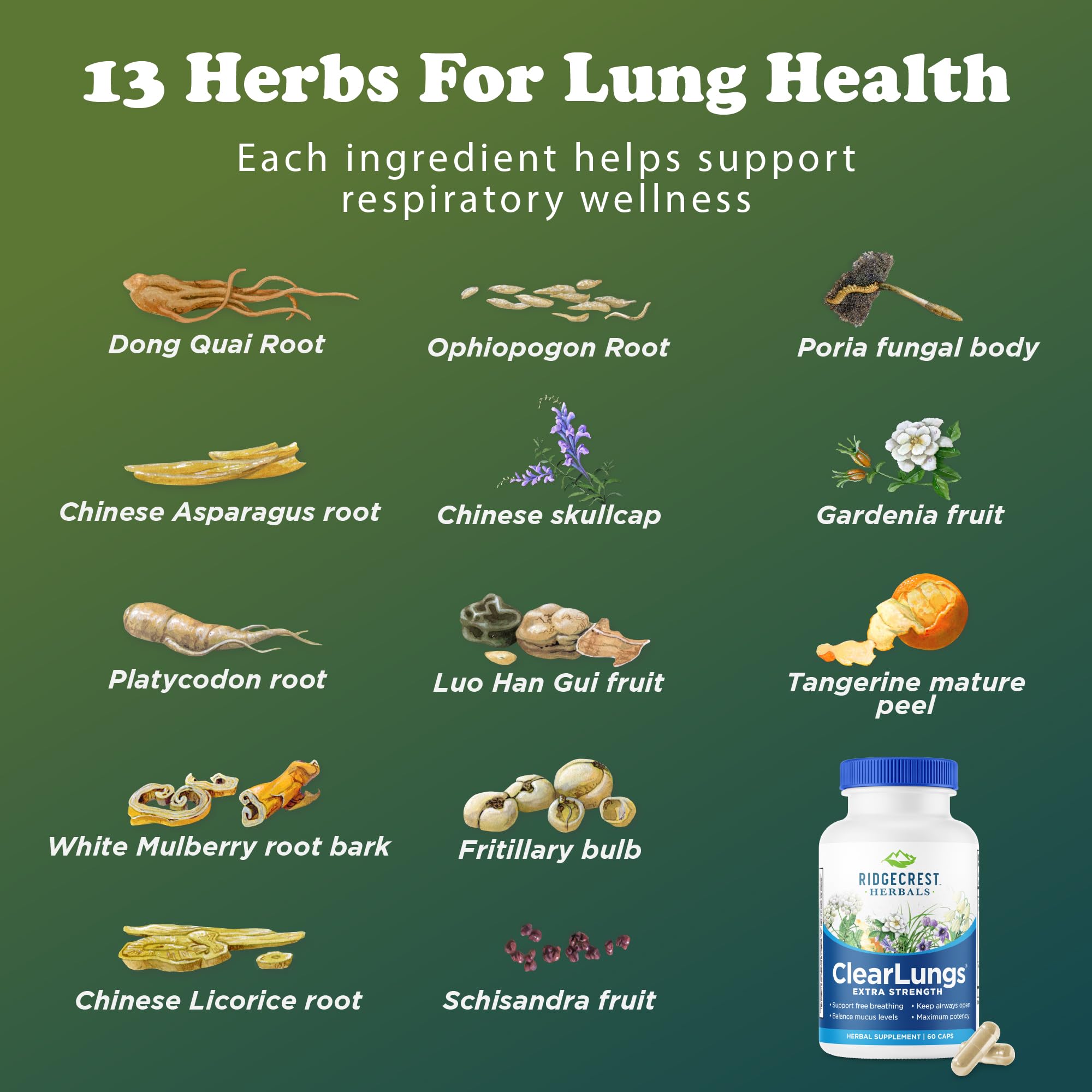 RidgeCrest Herbals frasco en ambiente hogareño resaltando uso diario