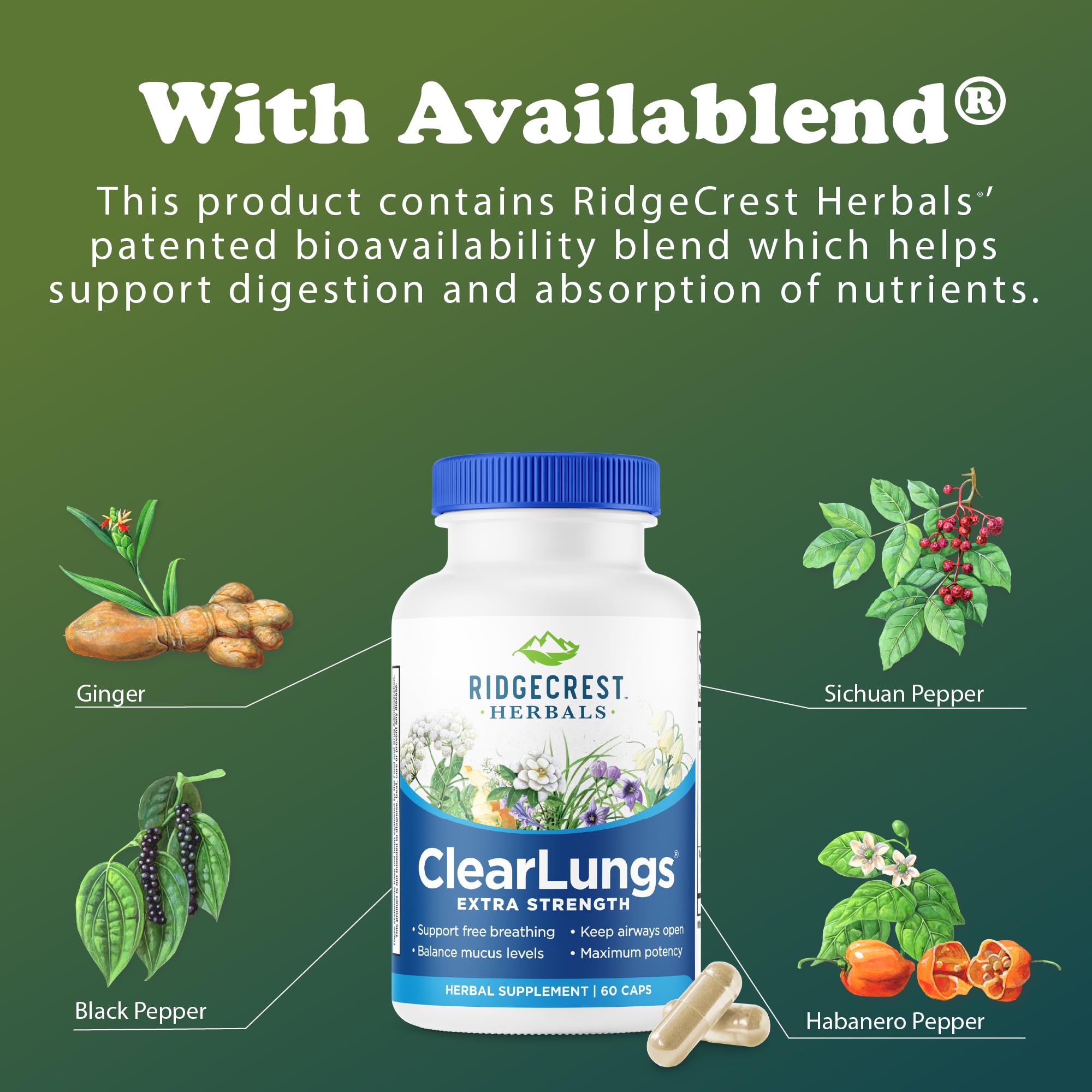 RidgeCrest Herbals close-up de la textura de la cápsula para calidad perceptible