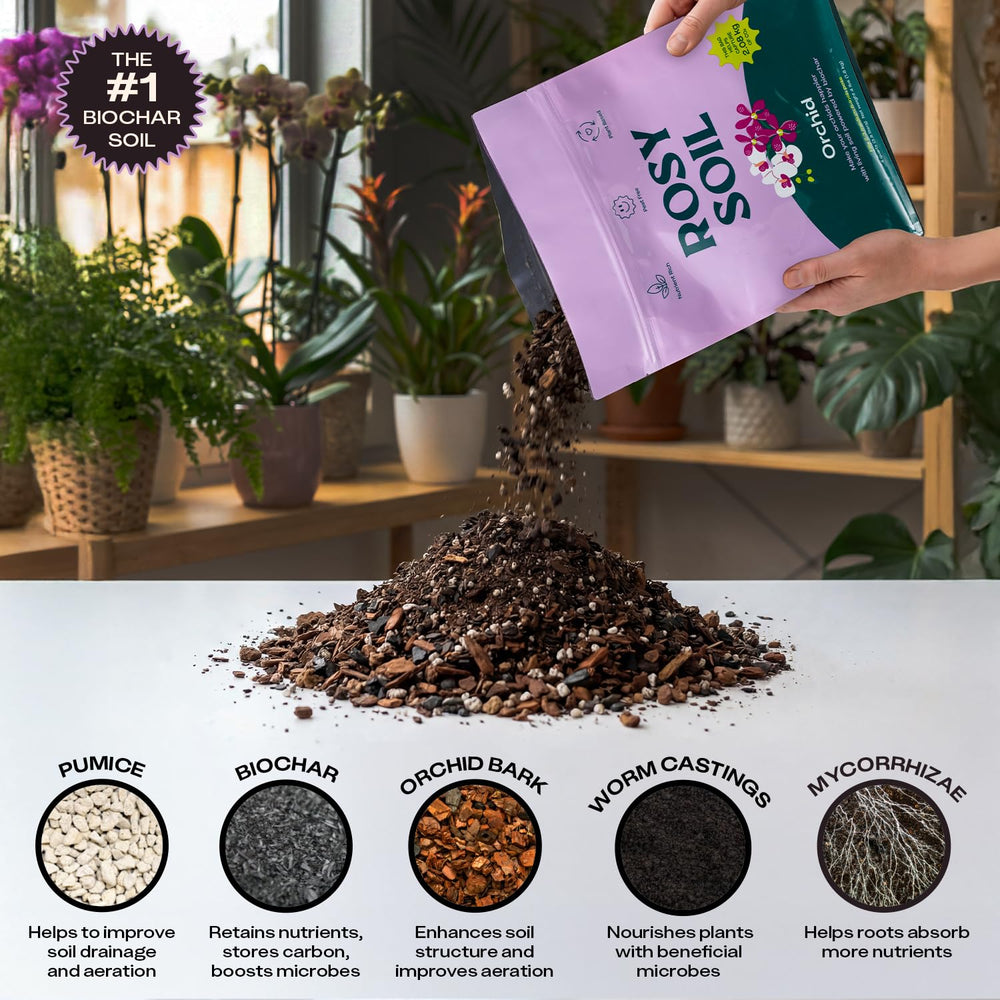 Rosy Soil bolsa junto a regla para comparar tamaño y rendimiento