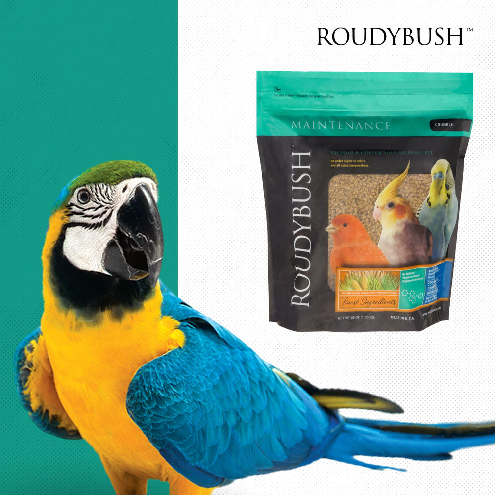RoudyBush en ambiente doméstico con ave, ideal para hogares con mascotas