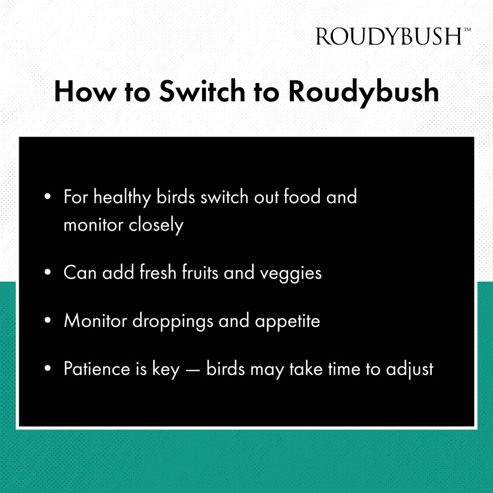 RoudyBush ingredientes básicos visuales mostrando granos y beneficios