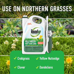 Roundup For Lawns varilla extendible en acción para mayor alcance