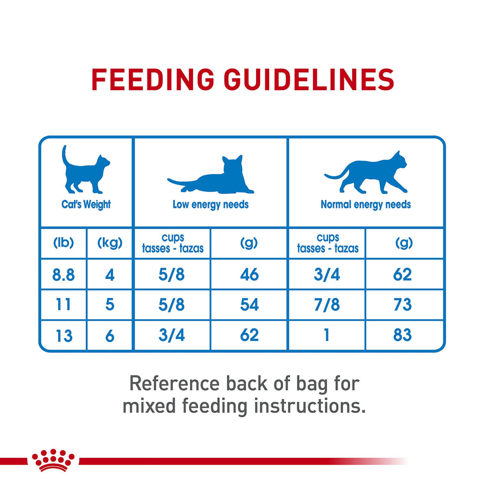 Royal Canin bolsa abierta con croquetas visibles para evaluar aspecto y calidad
