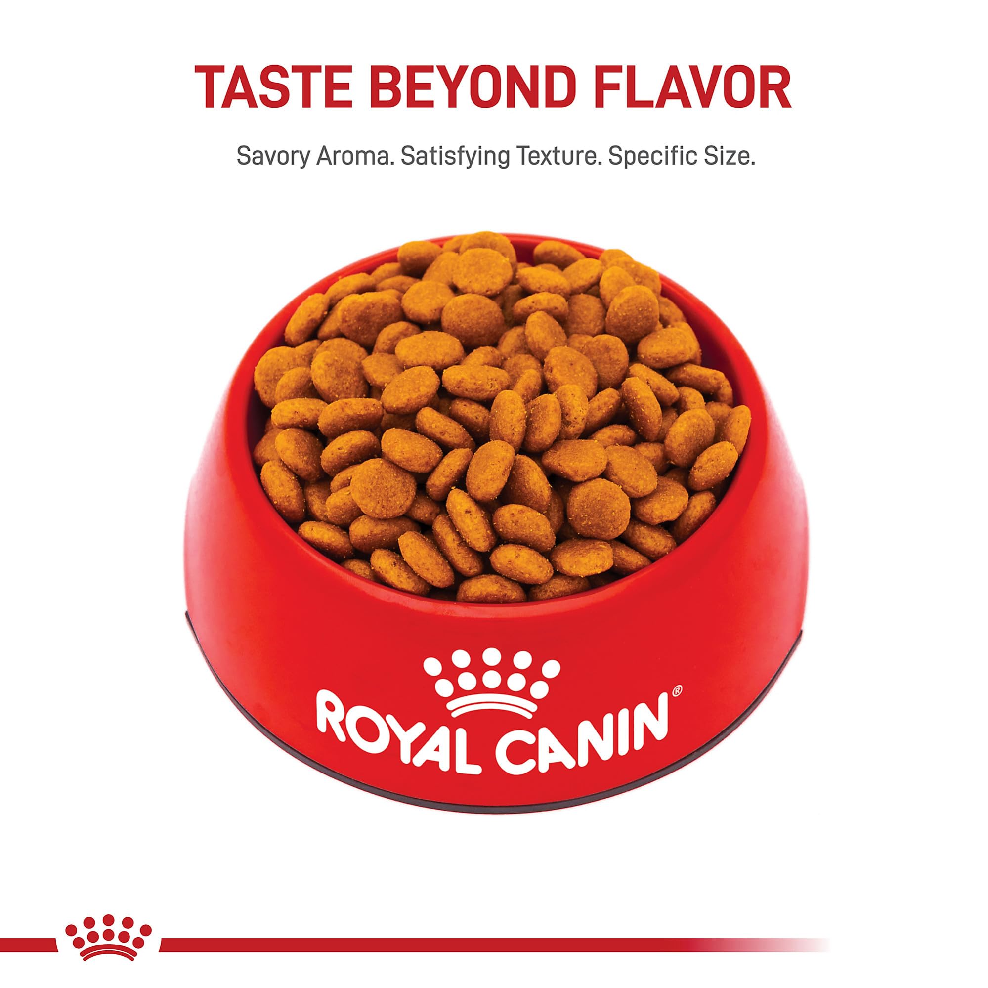 ROYAL CANIN bolsa abierta con croquetas para visualizar cantidad y aspecto