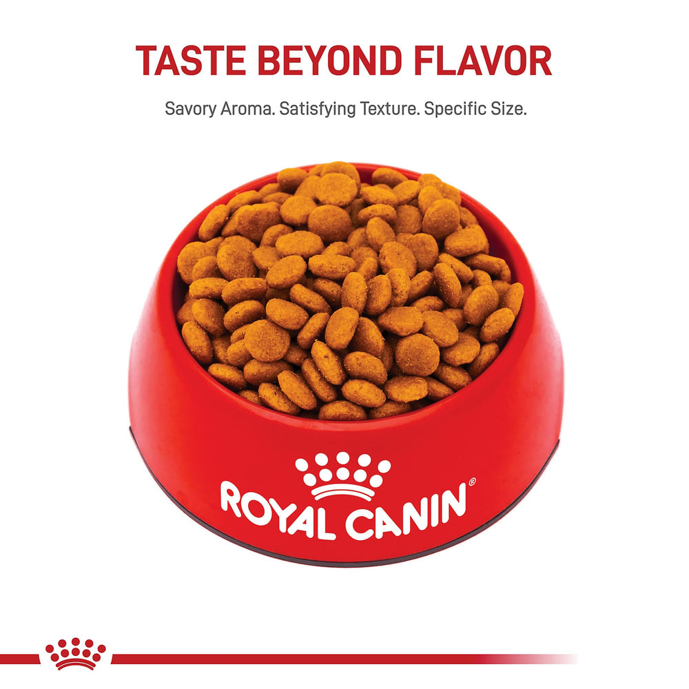 ROYAL CANIN bolsa abierta con croquetas para visualizar cantidad y aspecto