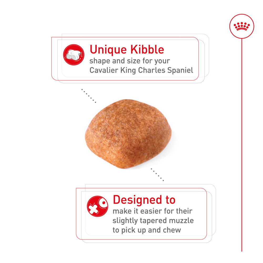 ROYAL CANIN detalle de croqueta fácil de coger para Cavalier