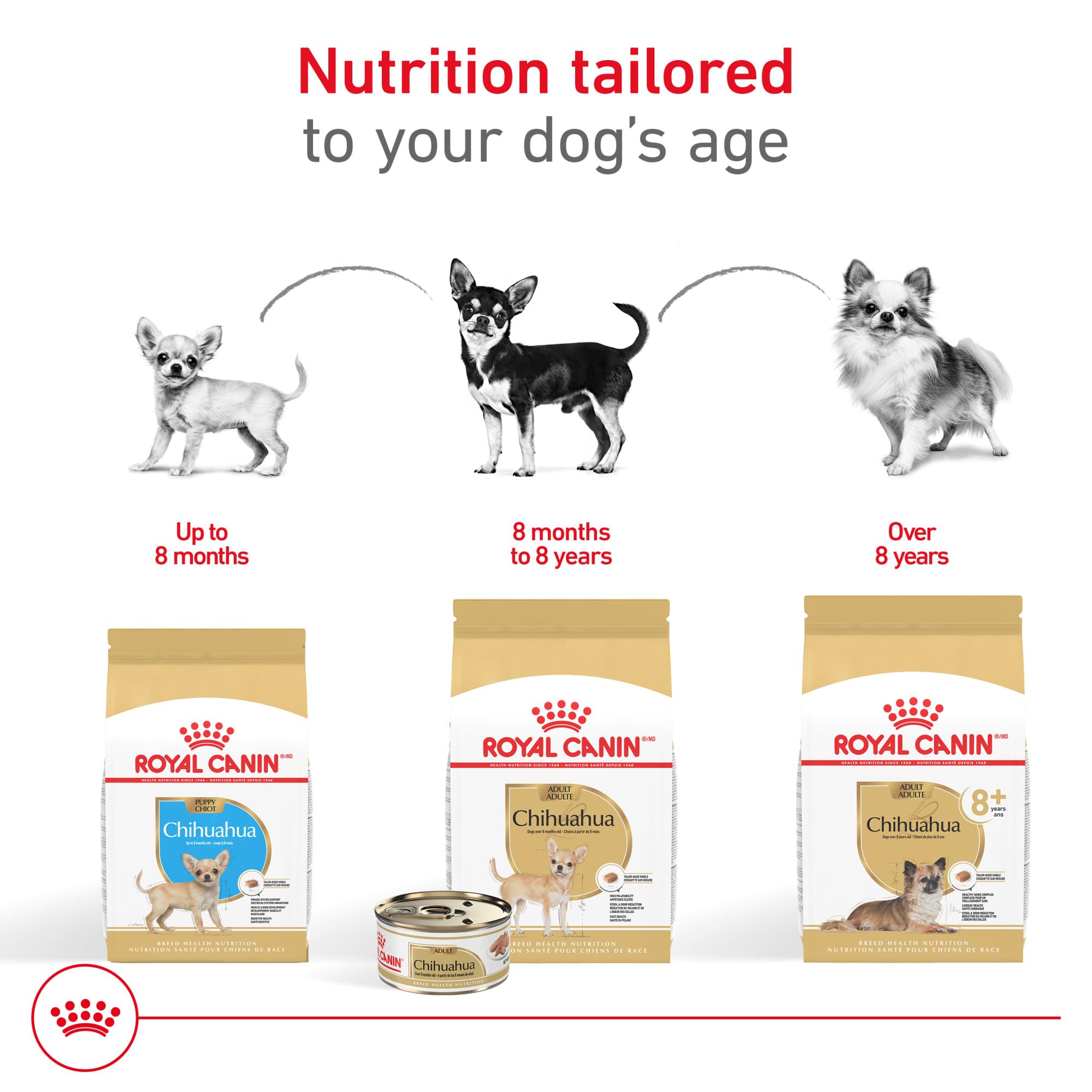 ROYAL CANIN primer plano de pelo brillante que sugiere salud dérmica