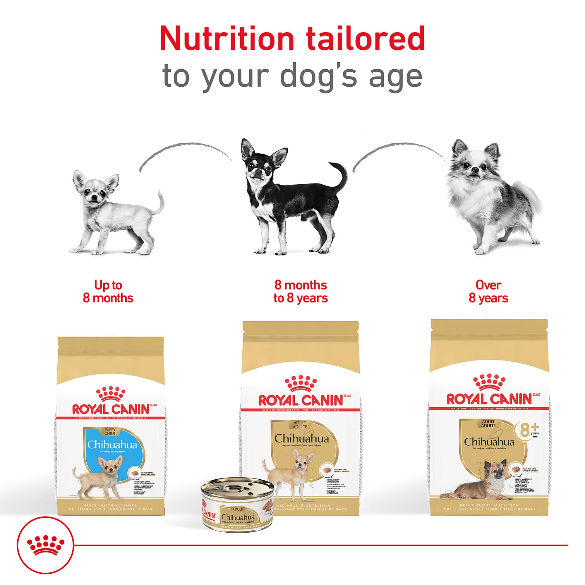 Textura de croqueta ROYAL CANIN Chihuahua Puppy destacando digestibilidad y palatabilidad