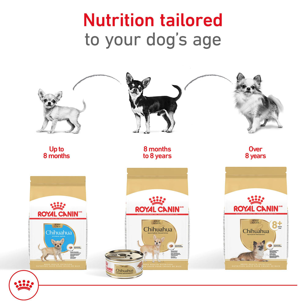 Textura de croqueta ROYAL CANIN Chihuahua Puppy destacando digestibilidad y palatabilidad