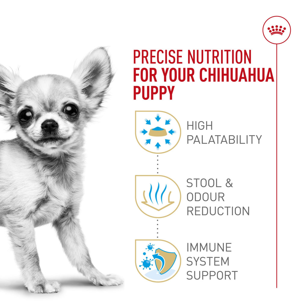 Porción medida de ROYAL CANIN Chihuahua Puppy con taza medidora para control de raciones