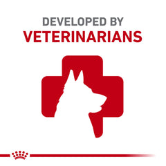 ROYAL CANIN mano junto a croqueta para comparar tamaño real