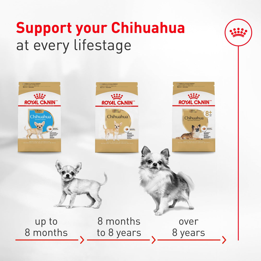 ROYAL CANIN detalle de la textura de la croqueta para fácil masticación